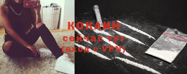 сатива Нязепетровск