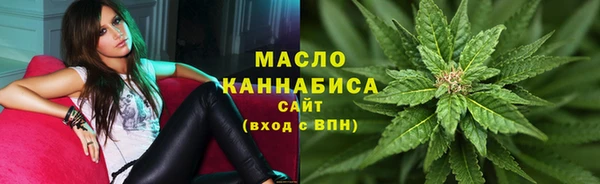 дживик Няндома