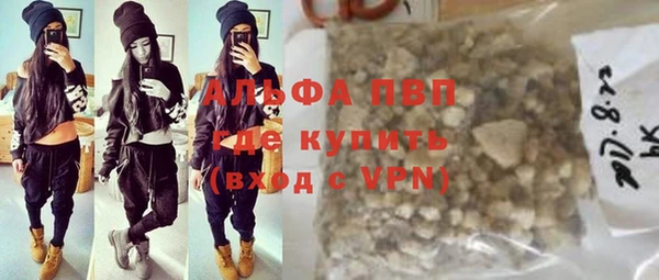 дживик Няндома