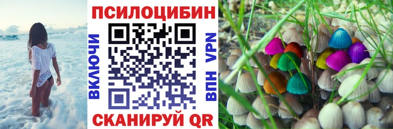 Галлюциногенные грибы MAGIC MUSHROOMS  купить   Подпорожье 