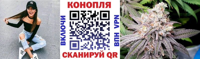 Шишки марихуана OG Kush  даркнет сайт  Подпорожье 